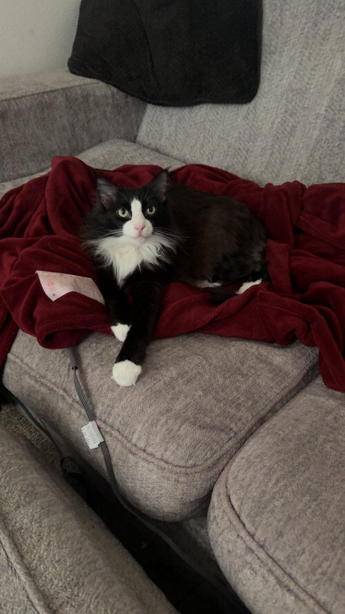 Ron Stage tweet media