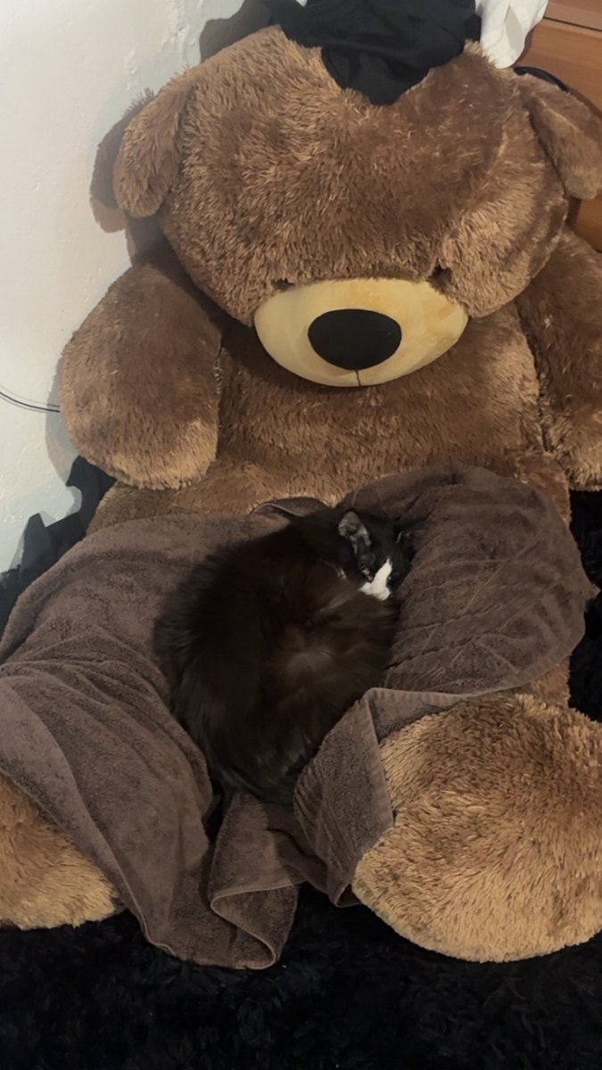 Ron Stage tweet media