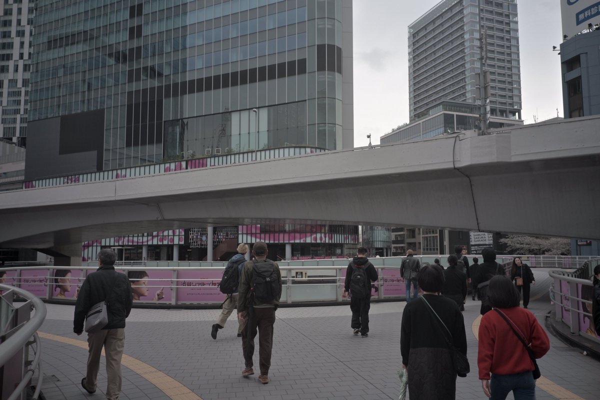 うよったん🐰🍒 tweet media