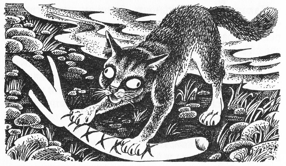 Furreyra tweet media