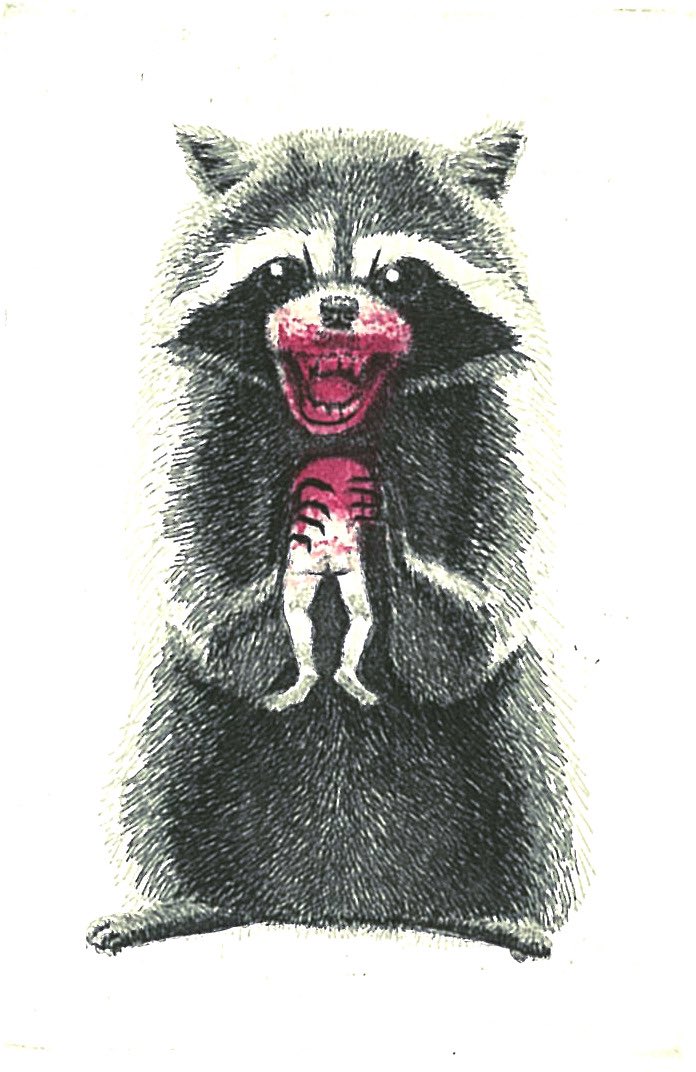 本間洋 tweet media