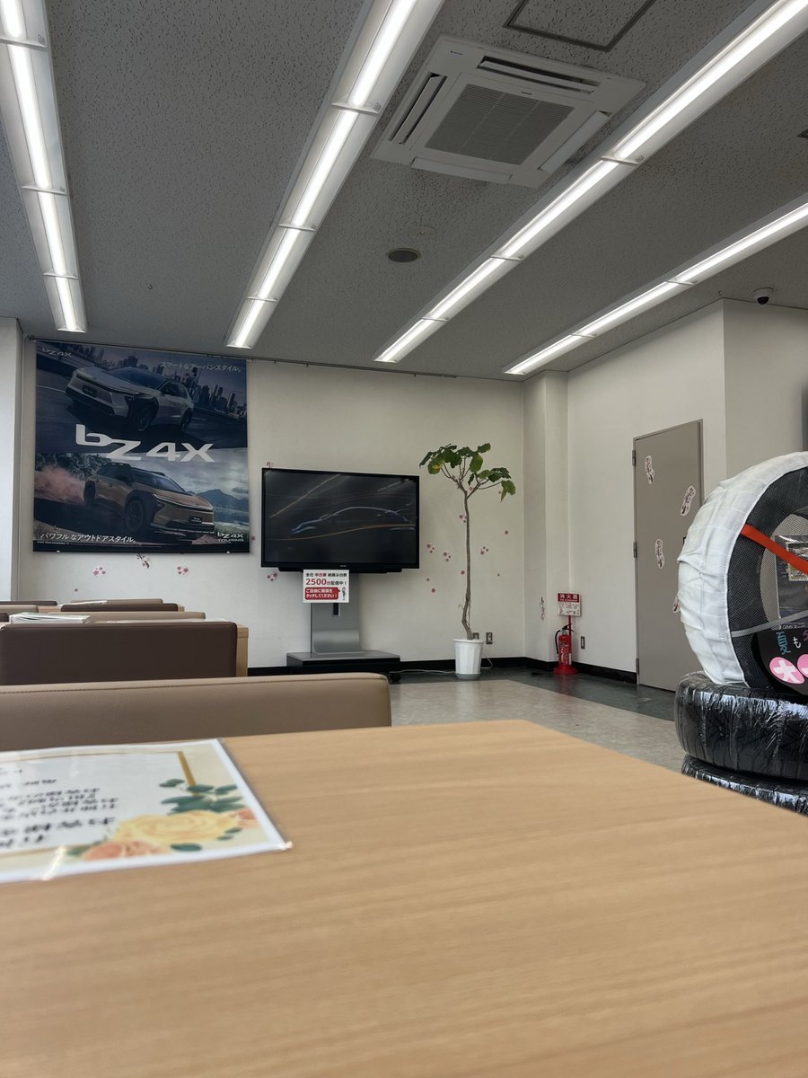 ミラクルゴルファー★まもプ（蝶首亭塗立・まさモア)🏵 tweet media