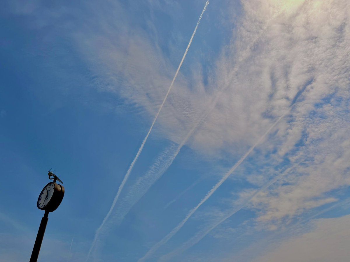 おむゅ🐣ྀི tweet media