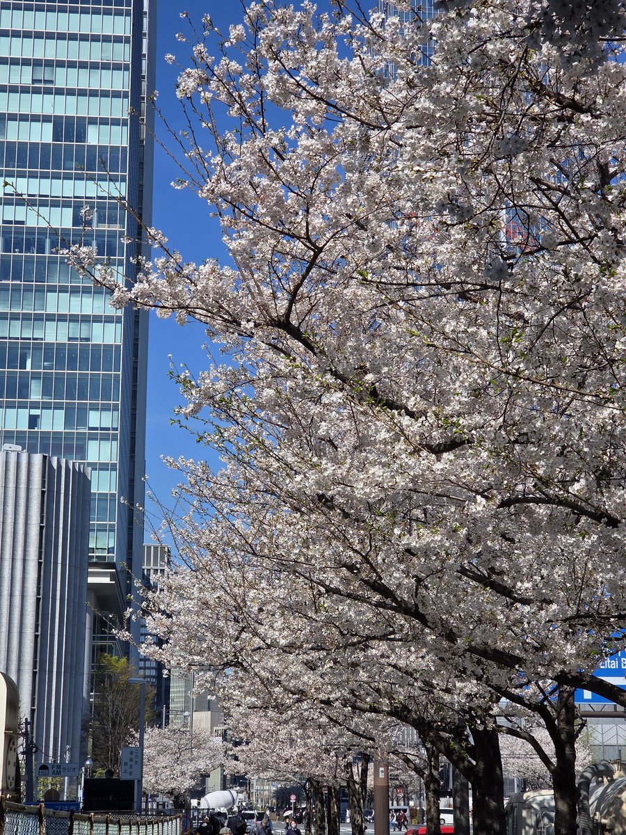 Cassie Wei 👶 tweet media