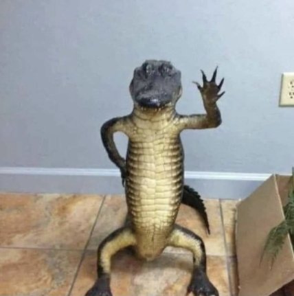 Alloy 𓂀 tweet media