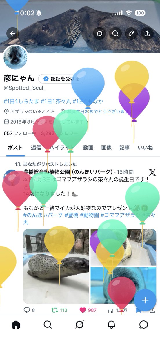 彦にゃん tweet media