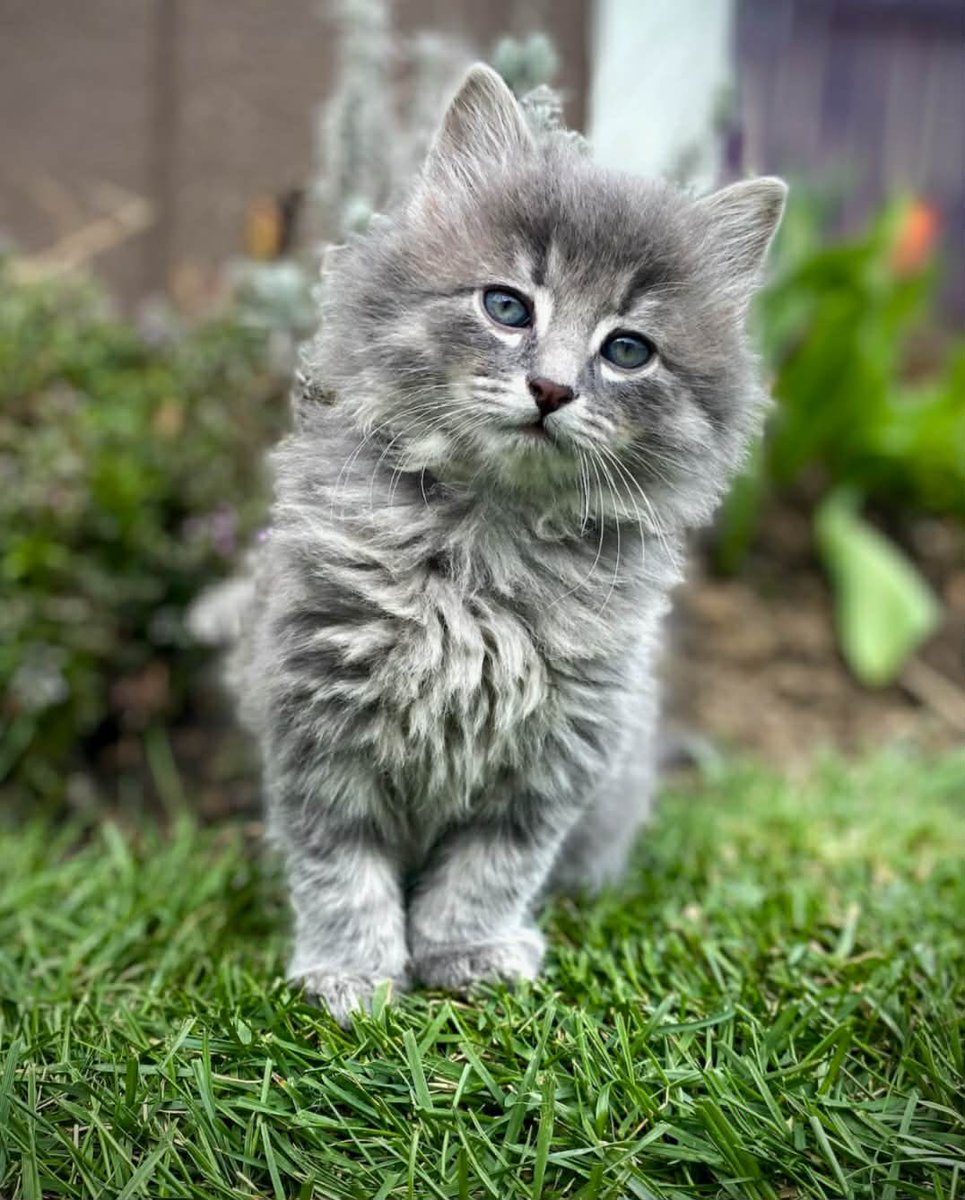 DebPowell59 tweet media