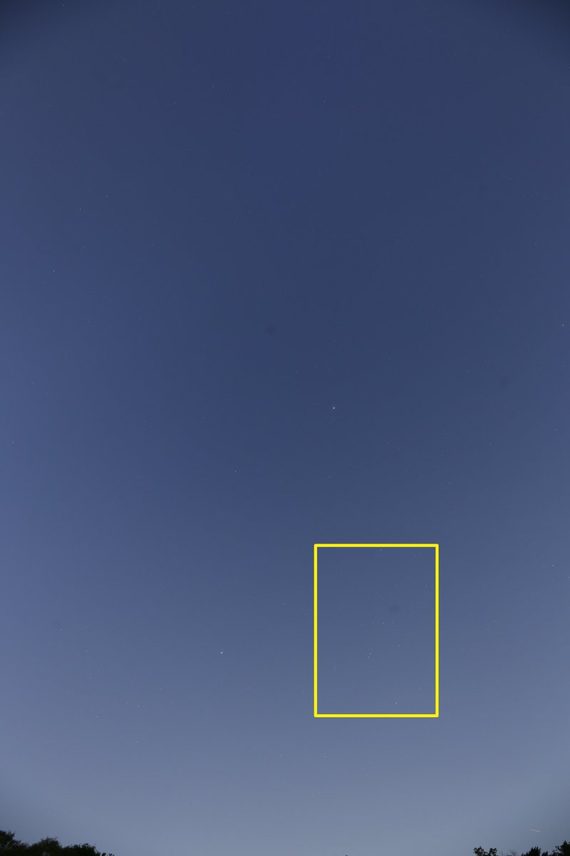 ひろ（星のソムリエ®） tweet media