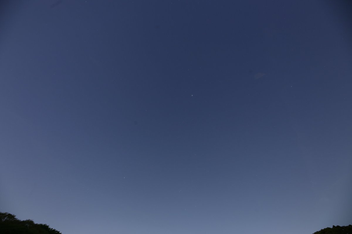 ひろ（星のソムリエ®） tweet media