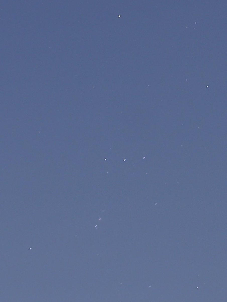 ひろ（星のソムリエ®） tweet media