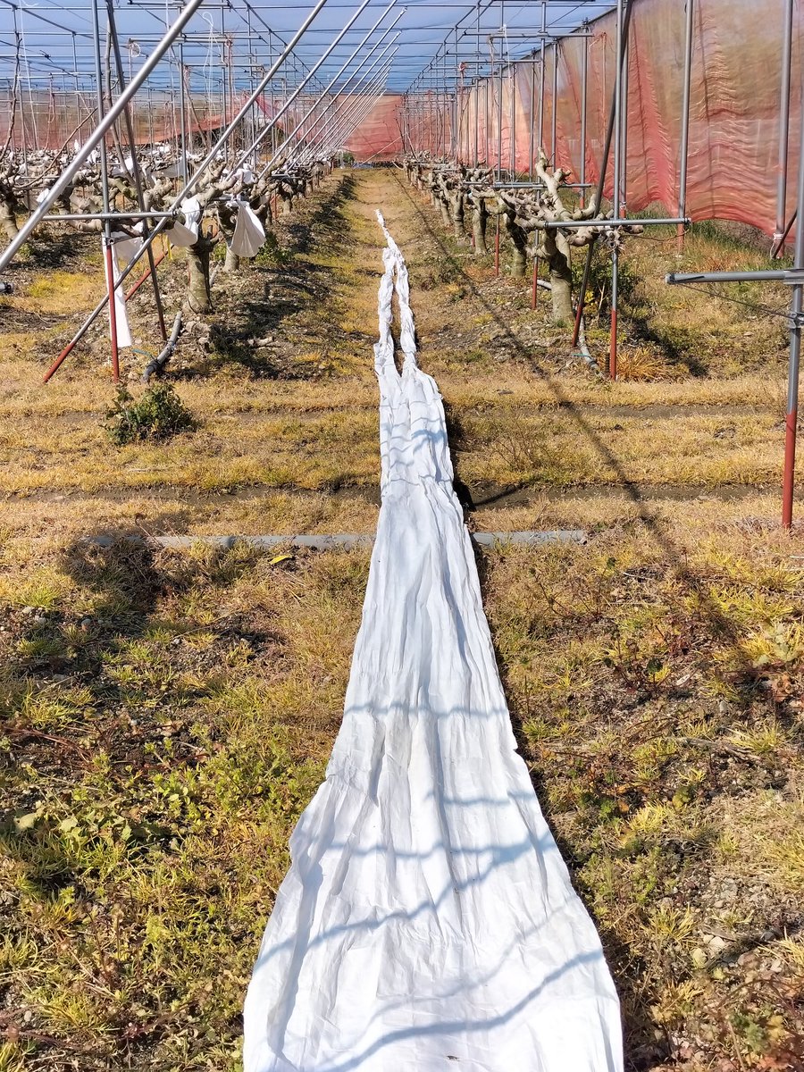 agri awaji0408 tweet media