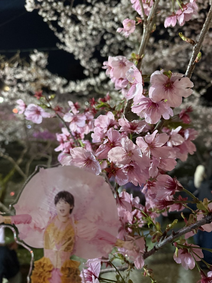 おーか茶🍯 tweet media