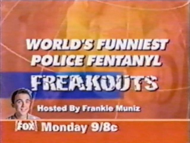 horse dentist tweet media