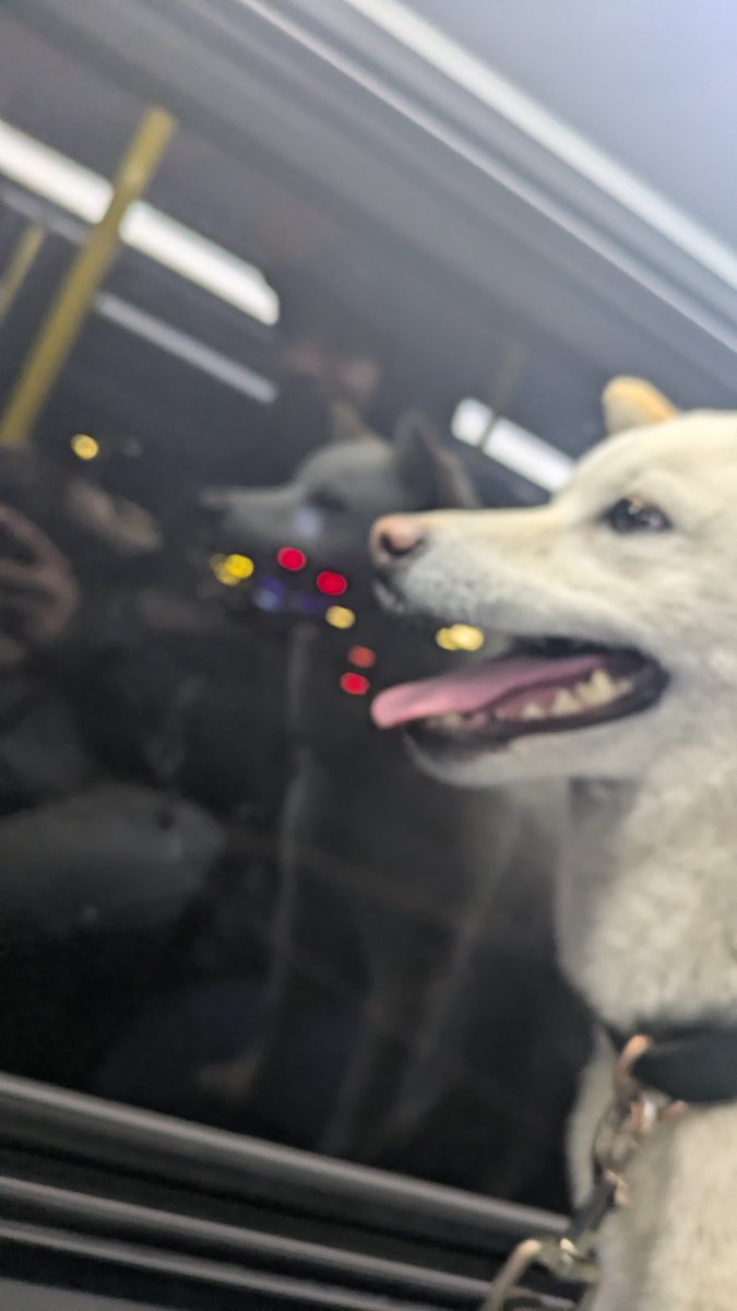 🌕 AlltheMayhem 👹 tweet media