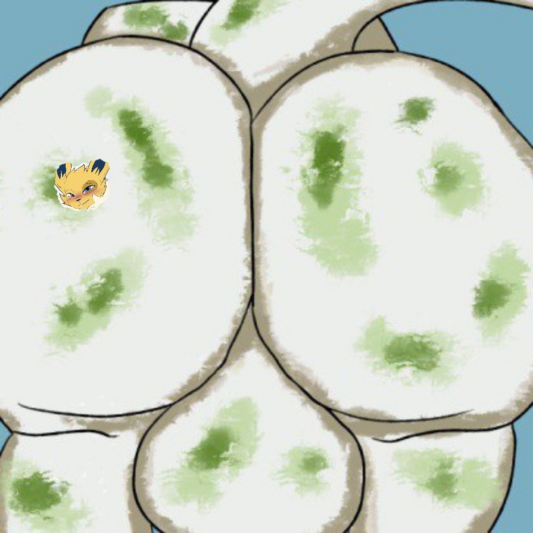 🔞Eadward's PERMA sweaty plump cheeks🔞 tweet media
