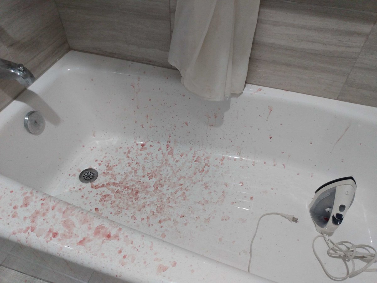 AwesomePancake3001 (Inactive) tweet media