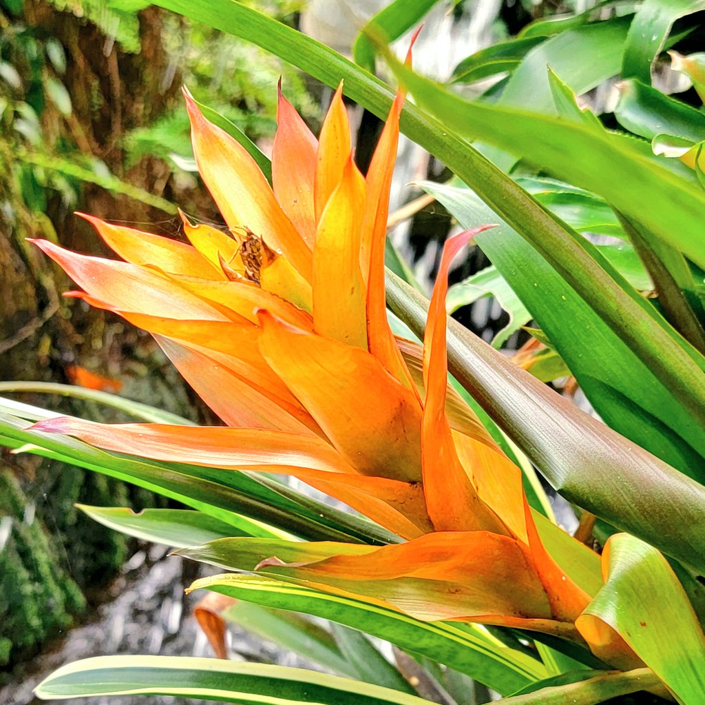 julie 💭 tweet media