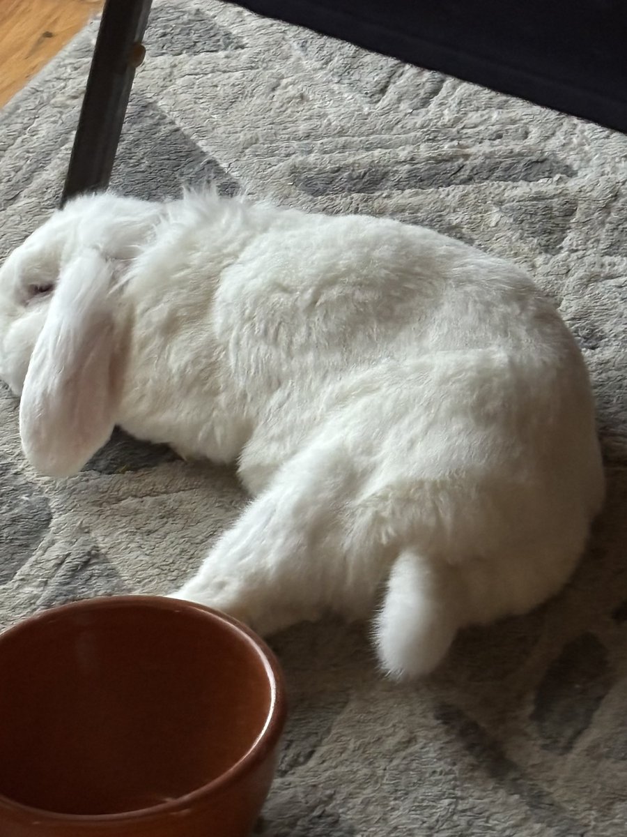 Onlivion✝️🇺🇸 tweet media