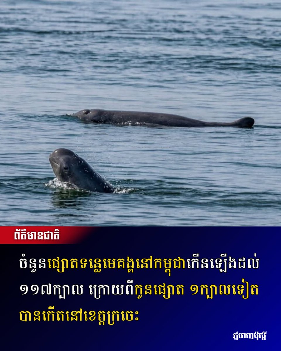 Post Khmer tweet media