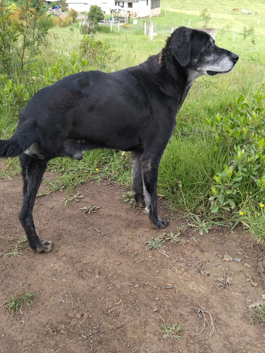 Luis F Suárez tweet media