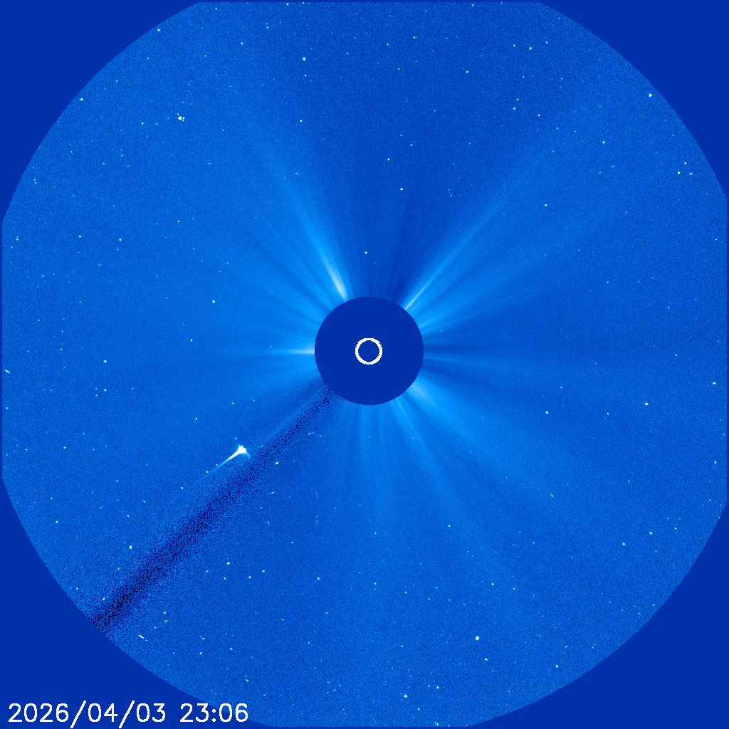 井上毅　INOUE Takeshi tweet media