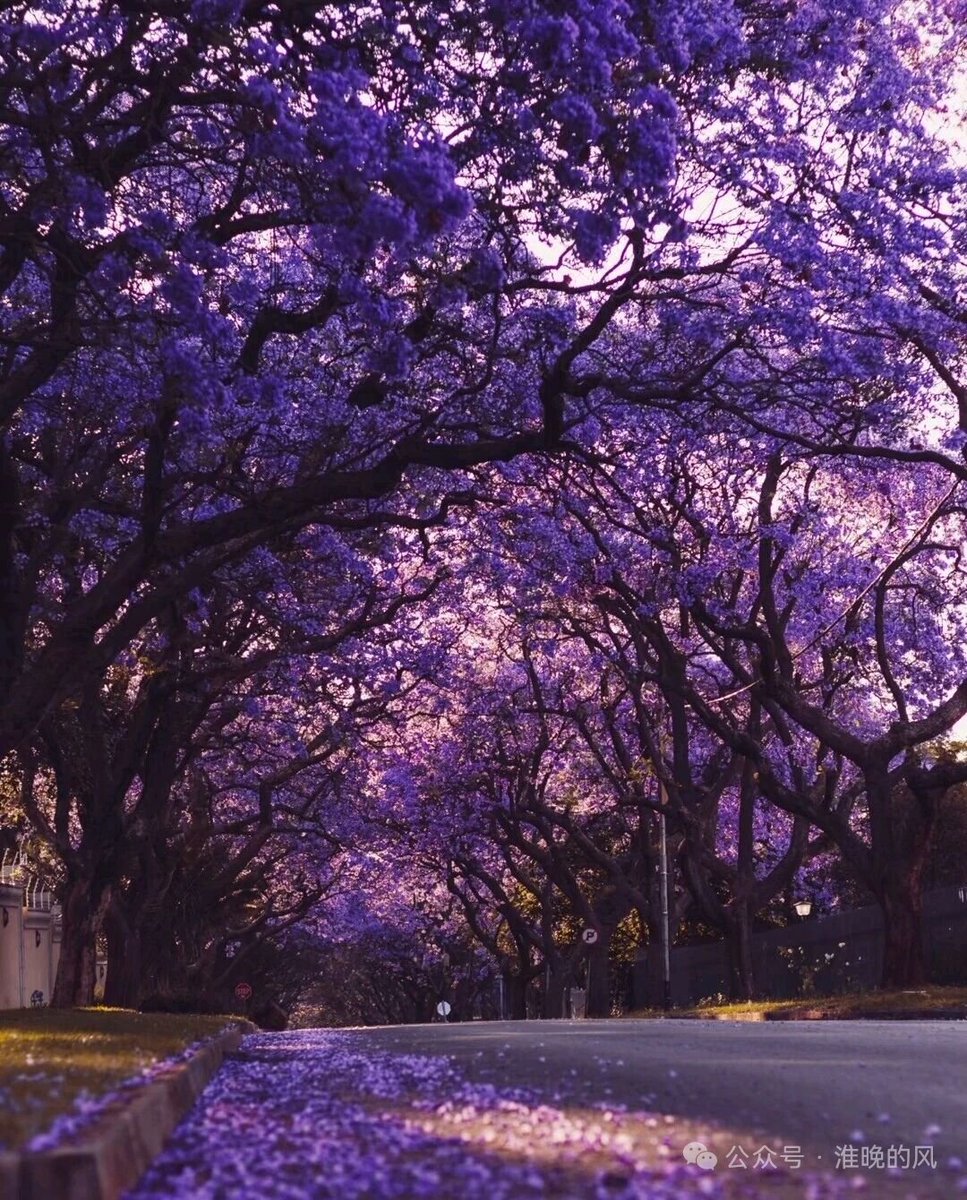 爱生活（互关） tweet media