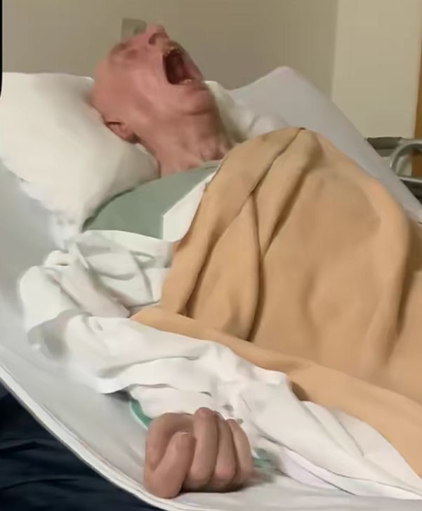 Aven of shtwt 🦇 tweet media