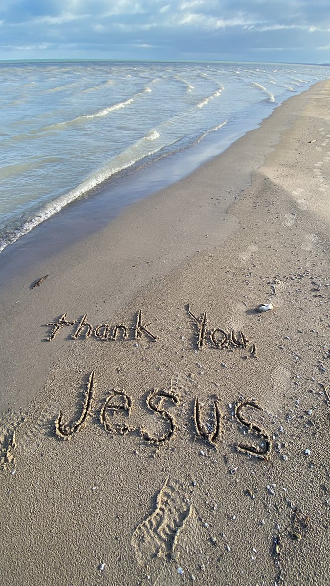 Dogs4Ever tweet media