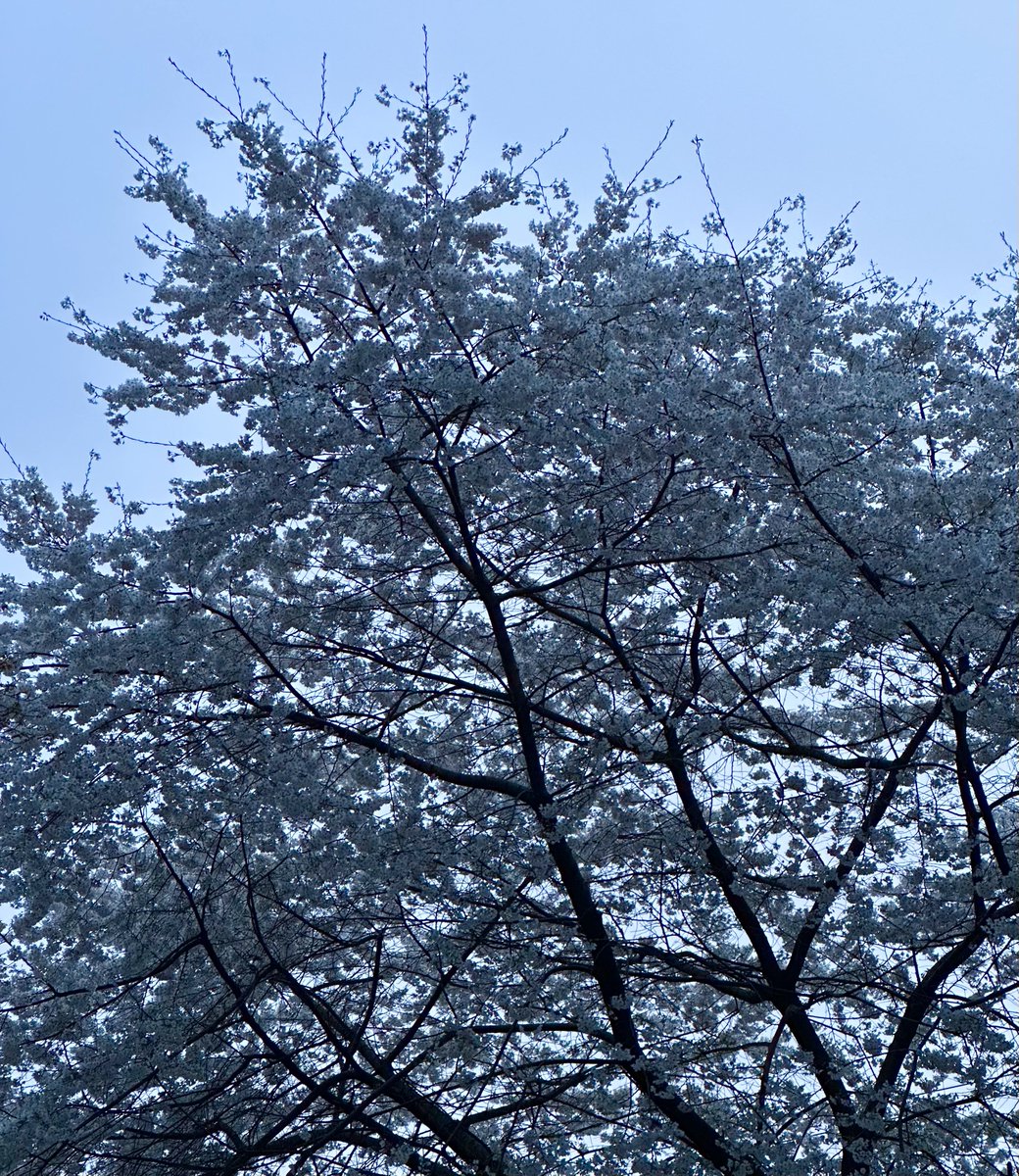 강용원 tweet media