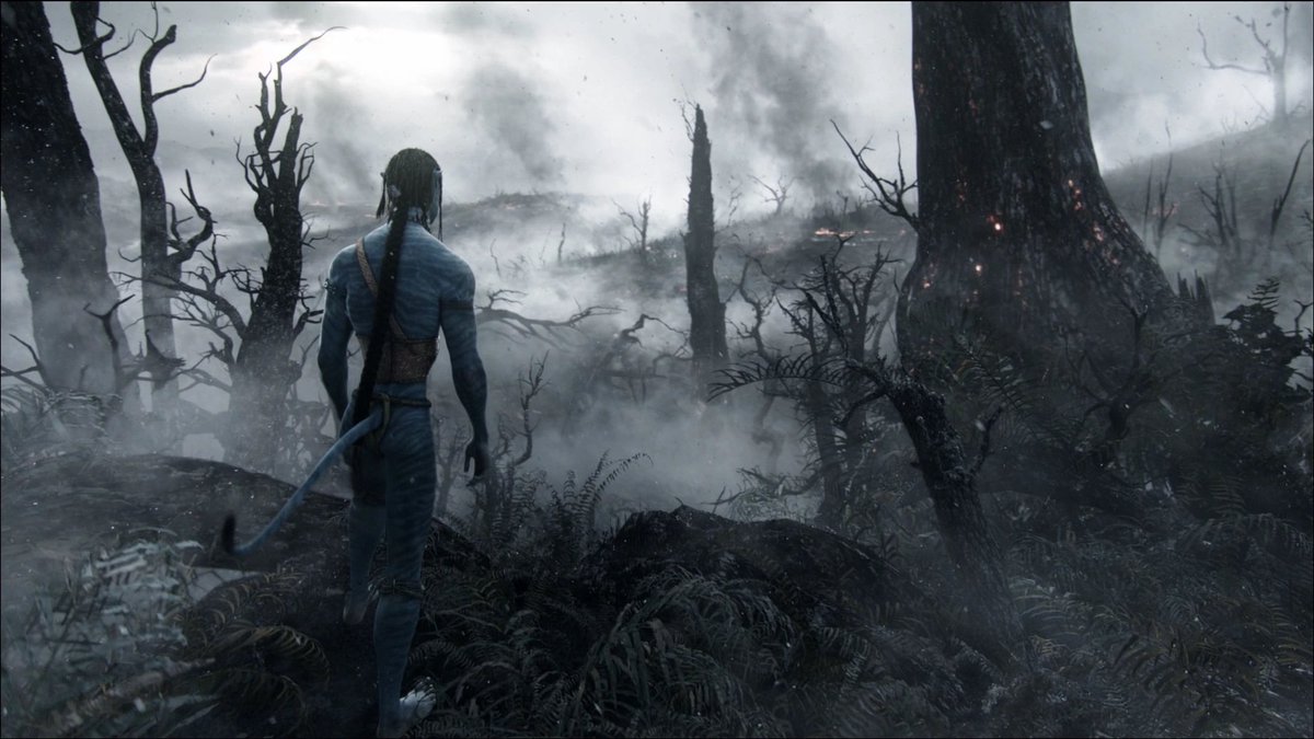 Calebb | 2nd edition tweet media