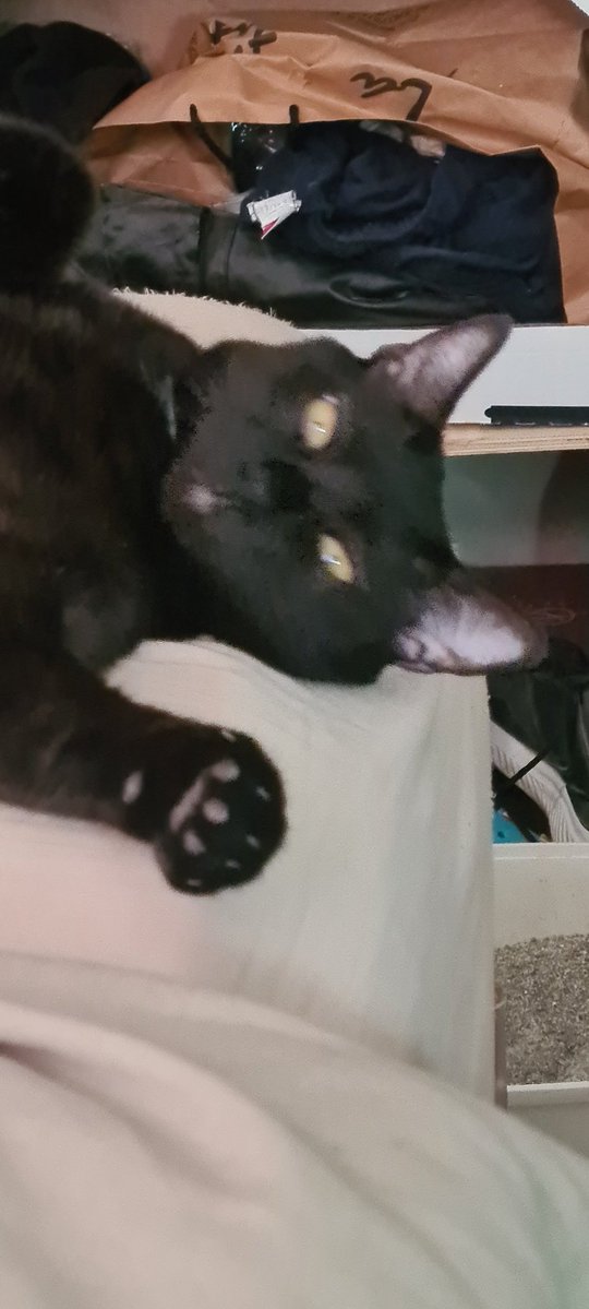 Arturo Santos tweet media