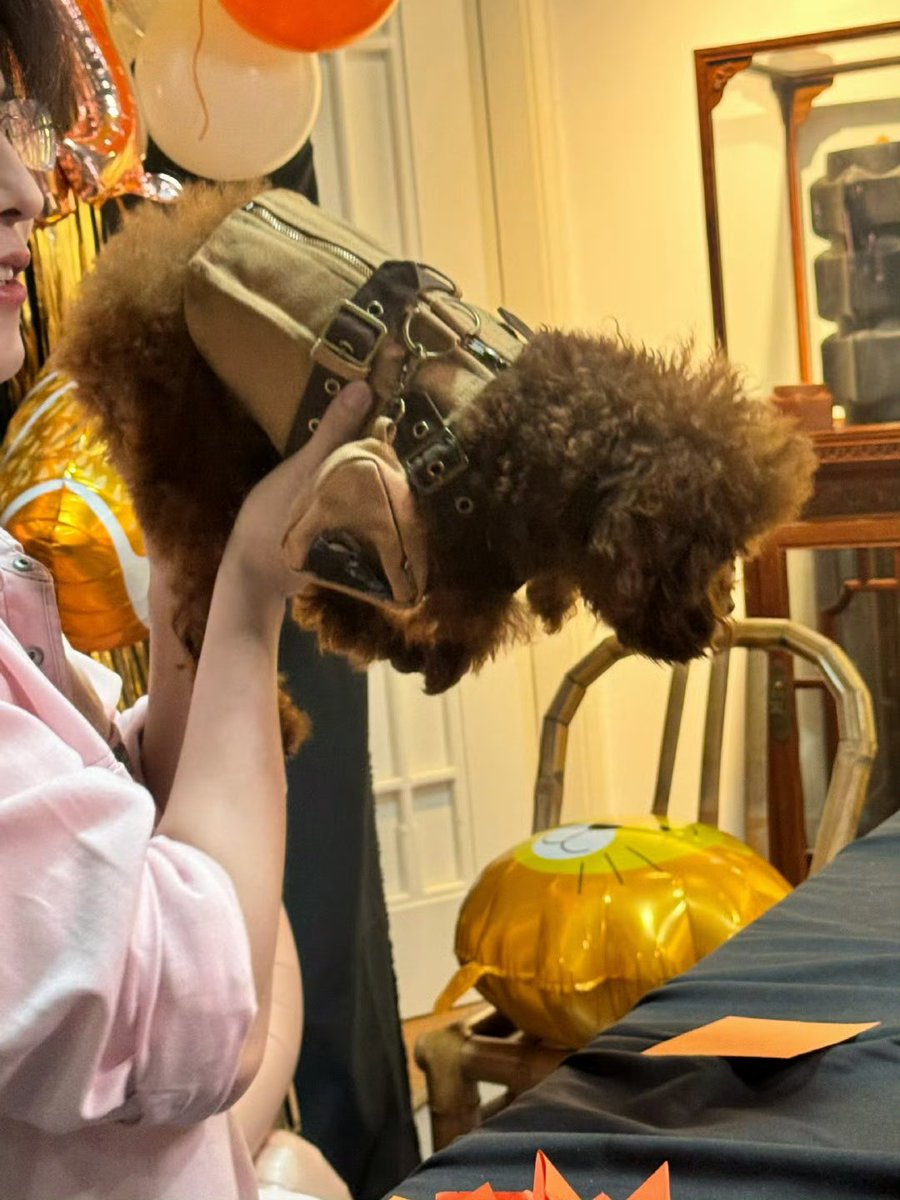 Mymoonpuka🍁 tweet media