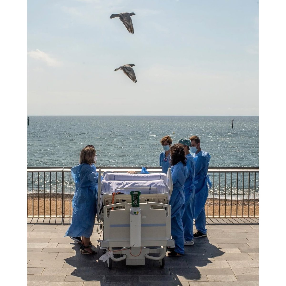 Racoon Entertainment tweet media