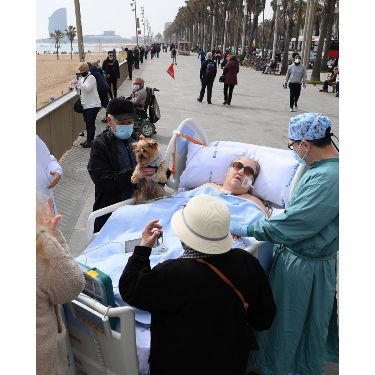 Racoon Entertainment tweet media