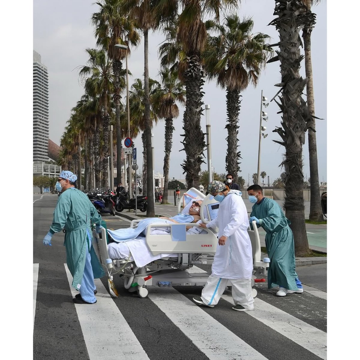 Racoon Entertainment tweet media