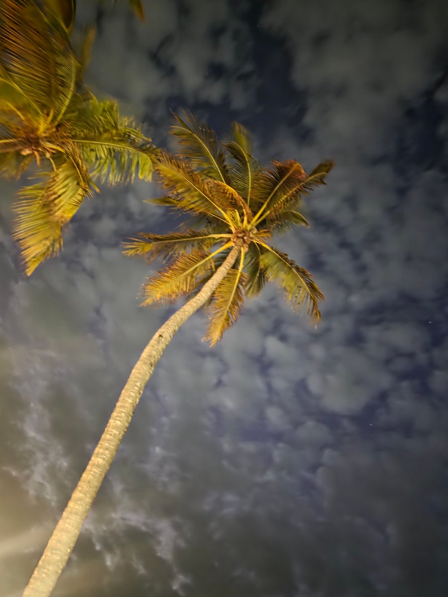 PartyInKeyWest's tweet image. Another wild night on the books. #keywest #duvalstreet #fridayfunday

More: PartyinKeyWest.com/wp/
Follow us: @PartyInKeyWest
Hashtag us: #PartyInKeyWest