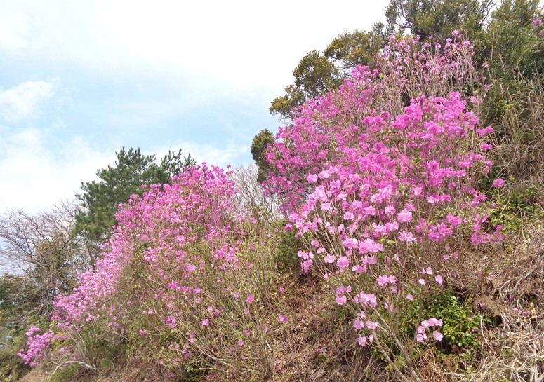 。:* 言の葉🍀 message *:・ tweet media