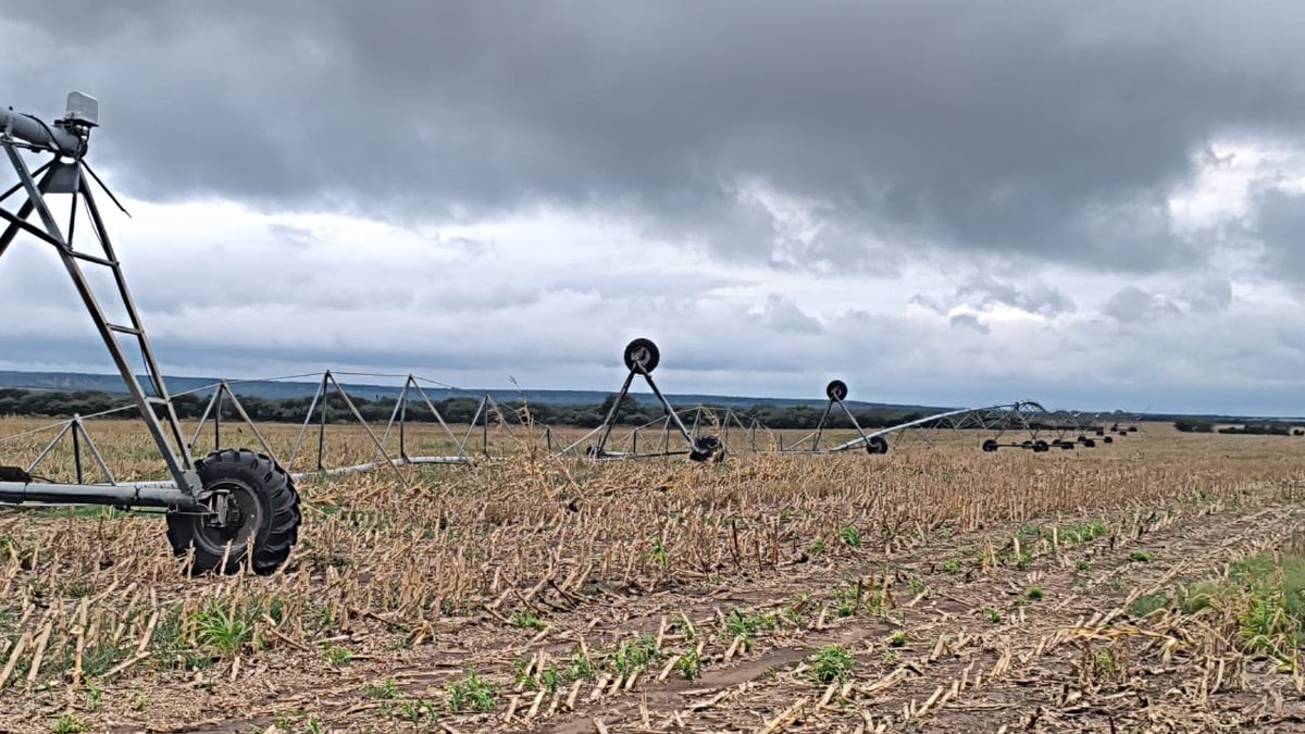 Nicolás RIOS CENTENO tweet media