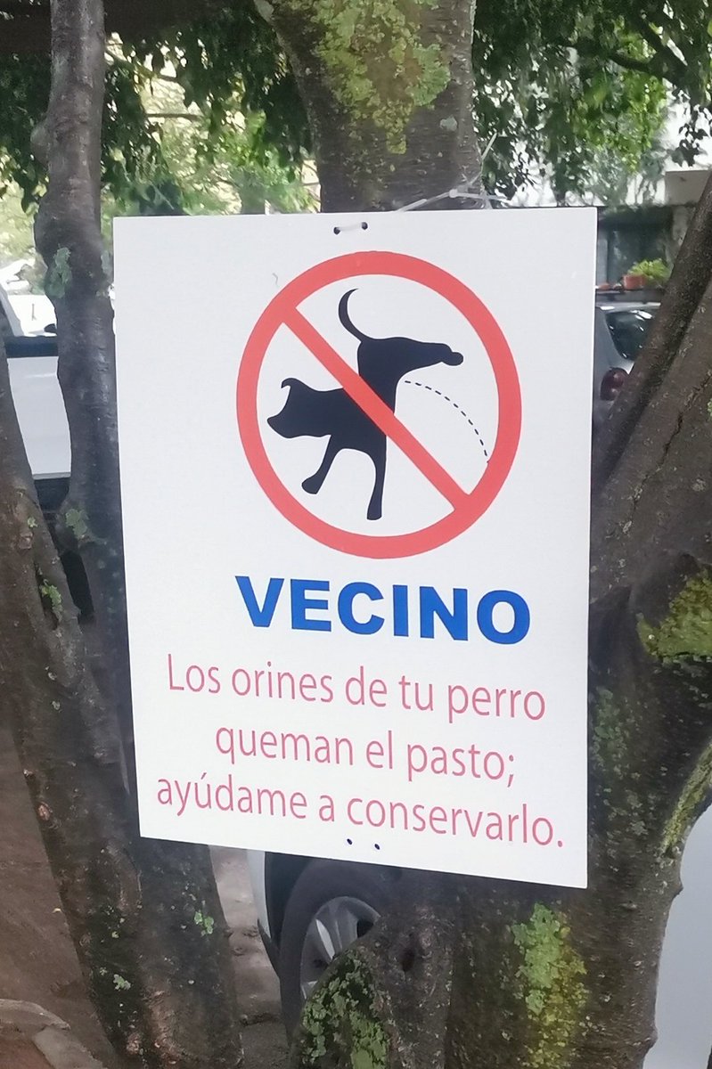 YO SOY LA OPOSICIÓN tweet media