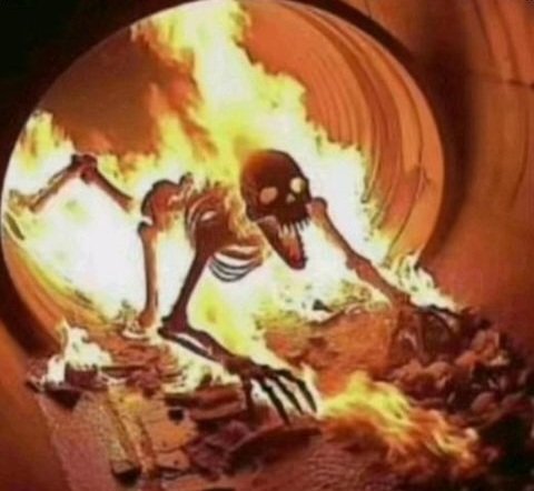 hectic hyena 𓃥 tweet media