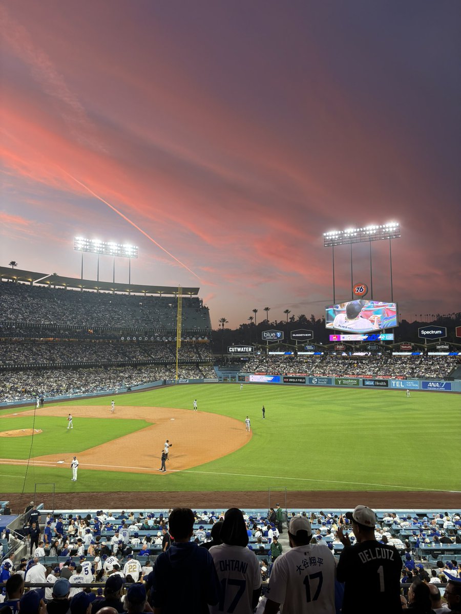 annoying ohtani fan tweet media