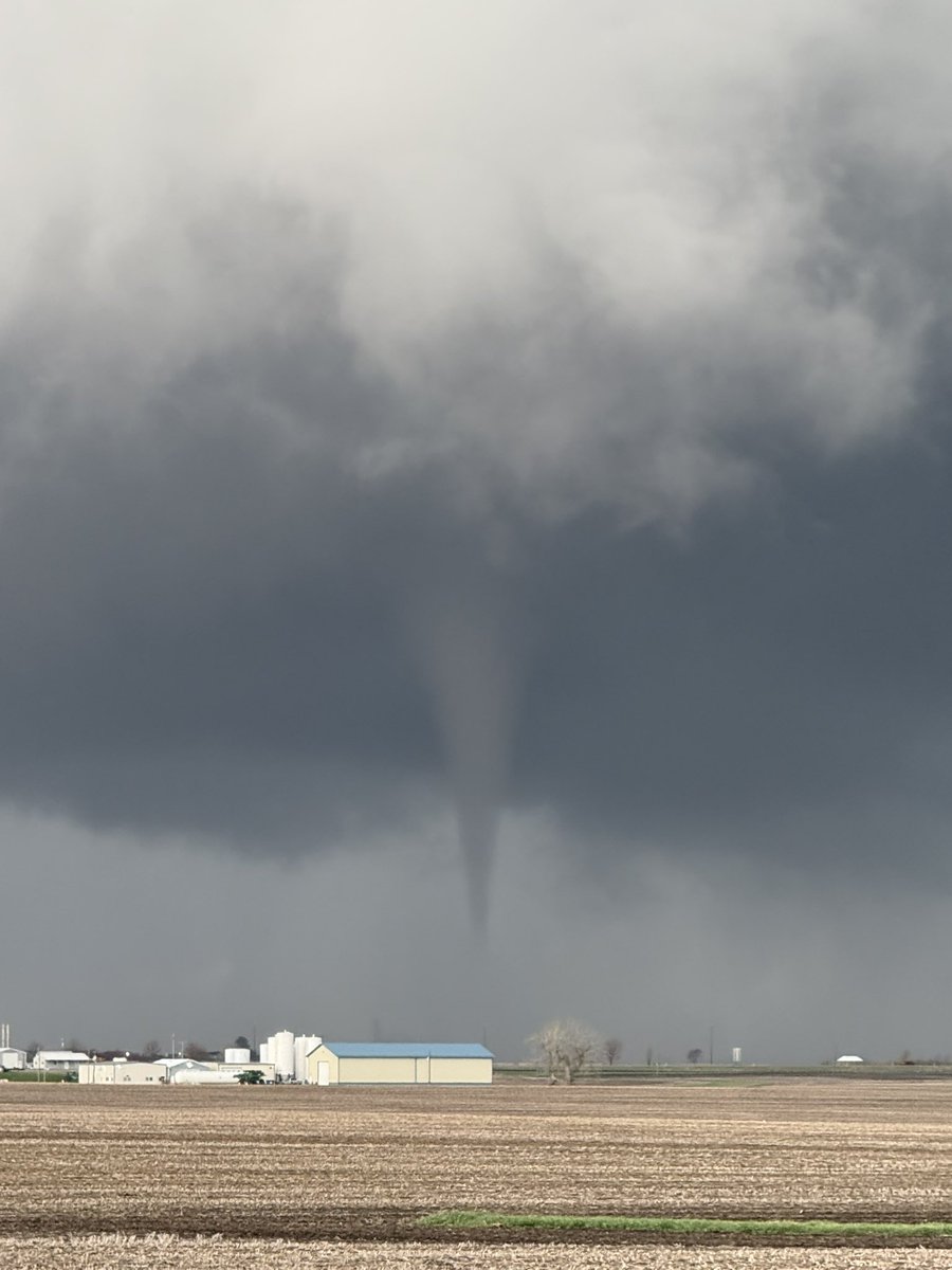 Alex Zielinski tweet media