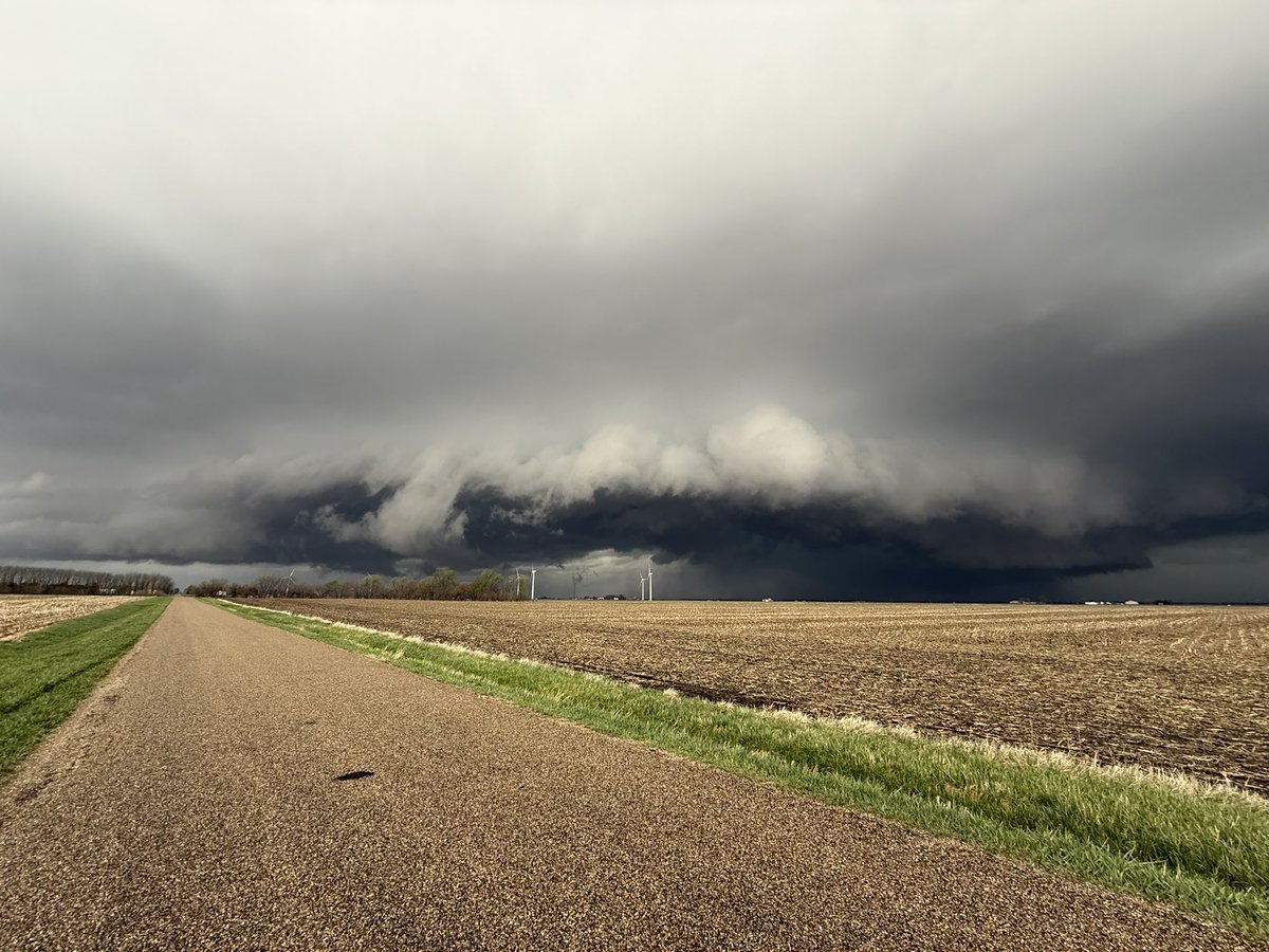 Alex Zielinski tweet media