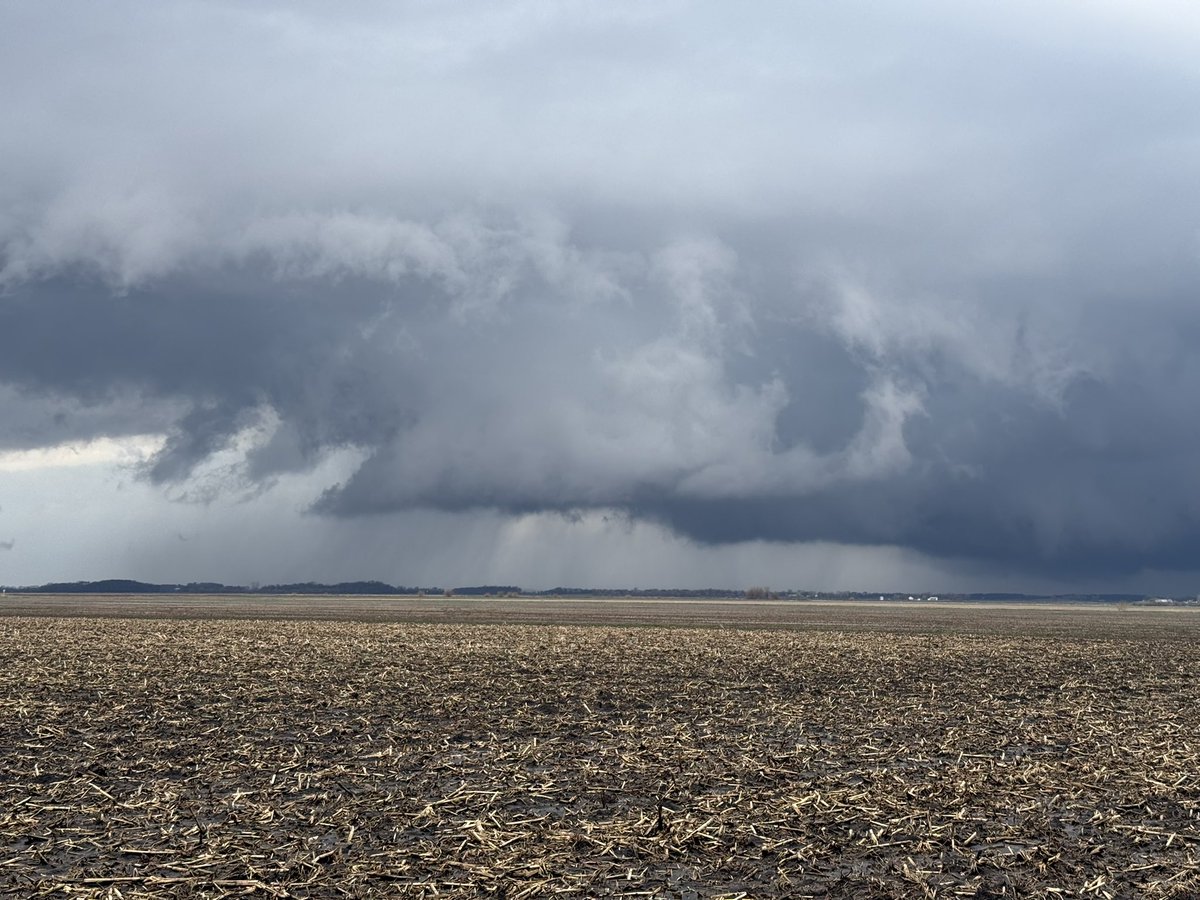 Alex Zielinski tweet media