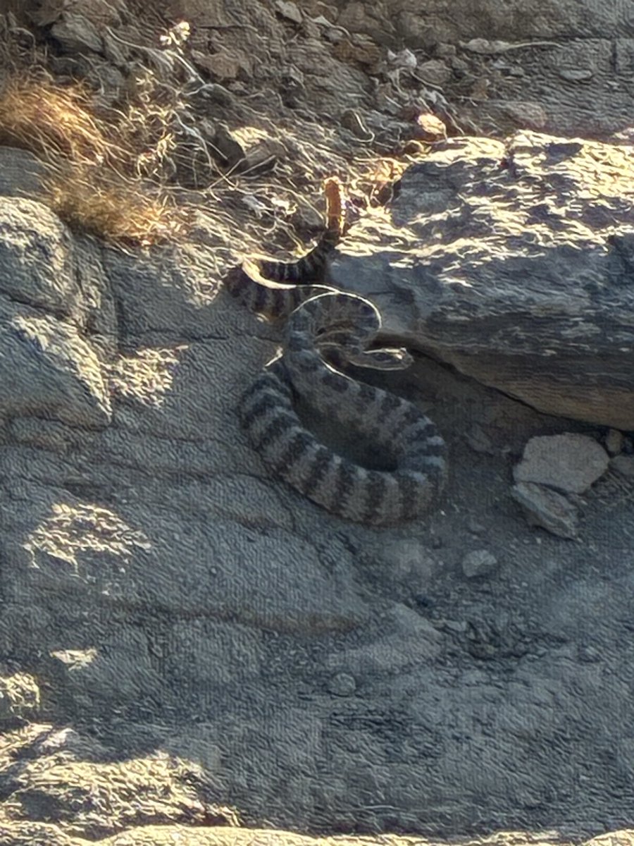 Stephen Richer tweet media