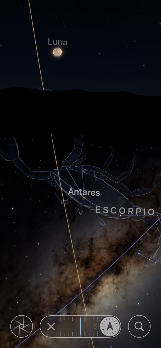 SielvaMaria🪷 tweet media