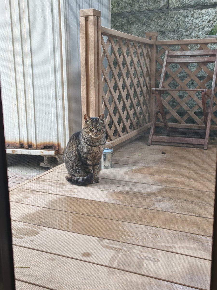 BAYLOOP ベイループ羽田 (釣具/イベント/展示/フリマ) NT海洋事業部 羽田拠点 tweet media