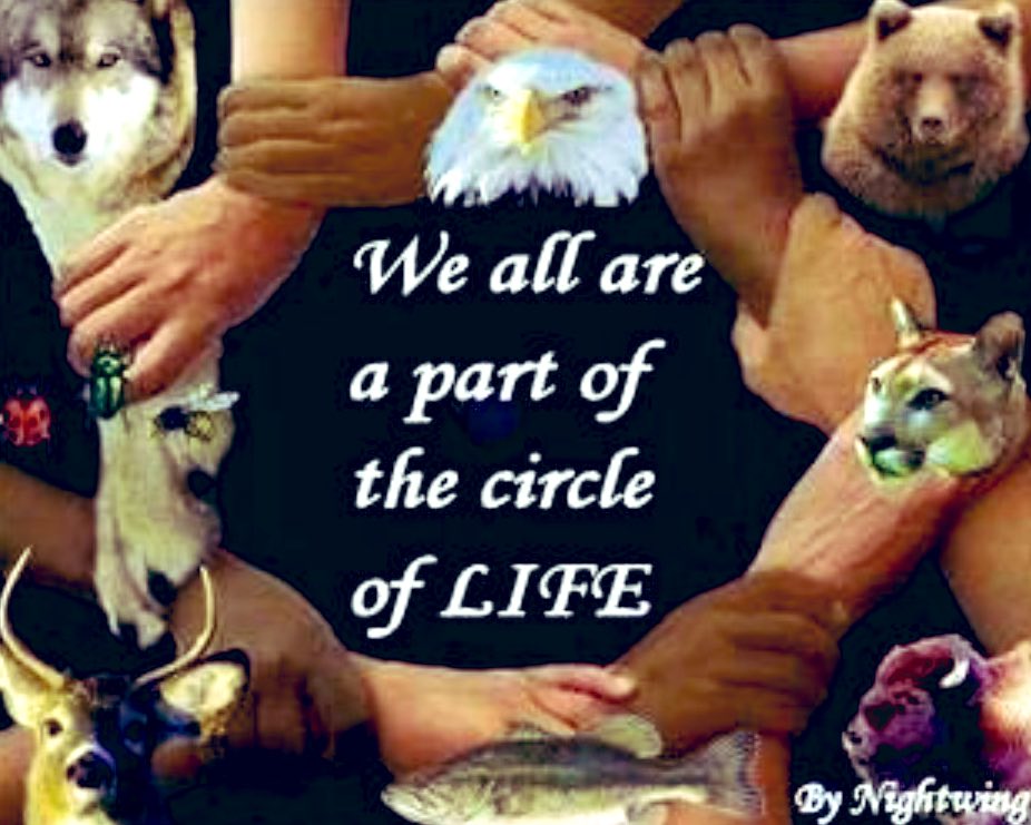 SerMadX's tweet image. How about siding with all sentient beings?

Imagine how great that could be. 

#AllCreaturesGreatandSmall 

#ThereIsNoUsandThem