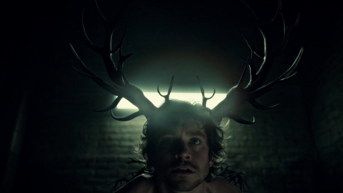 CINEMA 505 tweet media