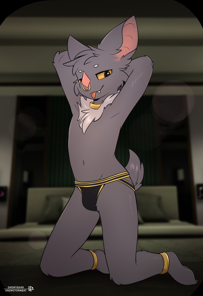 暴风雪Snowybat🔜Your bedroom tweet media